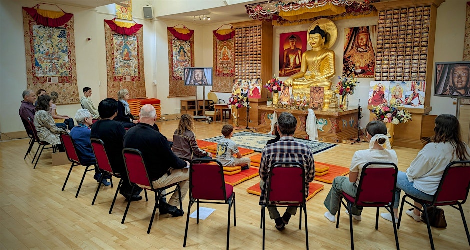 Drop-in Meditation in N1