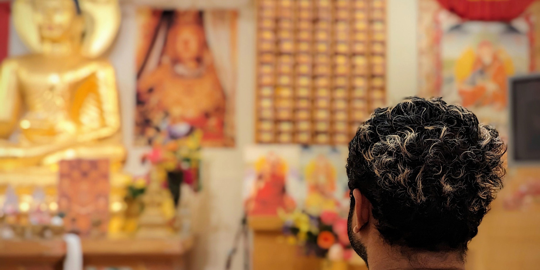 Free & Friendly Online Drop-in Meditation